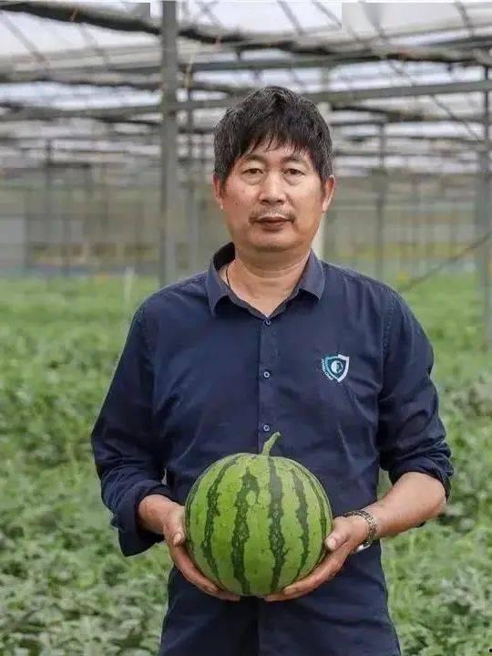 无锡市吃瓜,瓜果飘香，品味夏日清凉美食之旅