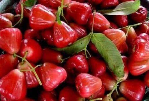 莲雾视频吃瓜网,揭秘热门话题背后的真相与笑料