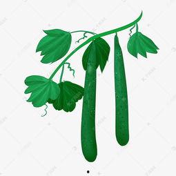 吃瓜头像插画素材,吃瓜头像插画素材背后的趣味故事