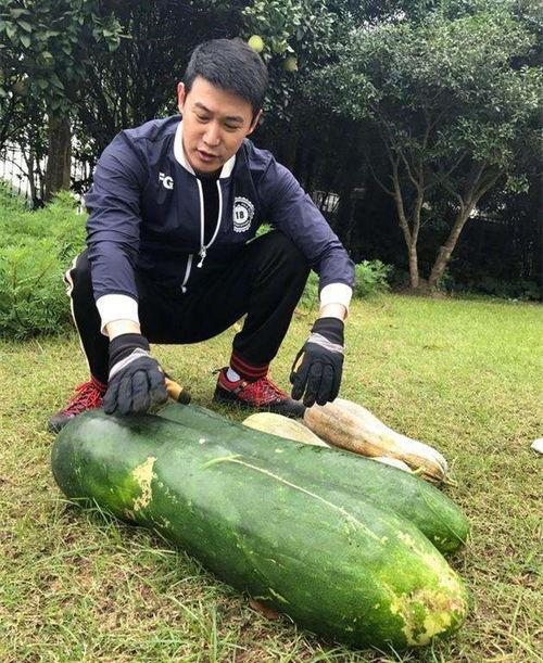 南通卫校吃瓜爆料,揭秘校园内幕与真实故事