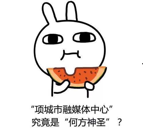 吃瓜怪盗,瓜田里的神秘传奇