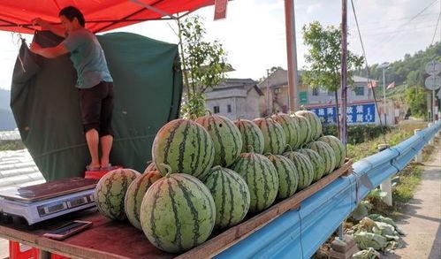 泰兴城东吃货吃瓜事件,一场美食与娱乐的狂欢盛宴