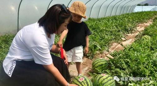 临夏吃瓜网站,带你领略临夏美食的独特魅力