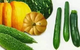 ttg风萧吃瓜,ttg风萧的吃瓜日常揭秘