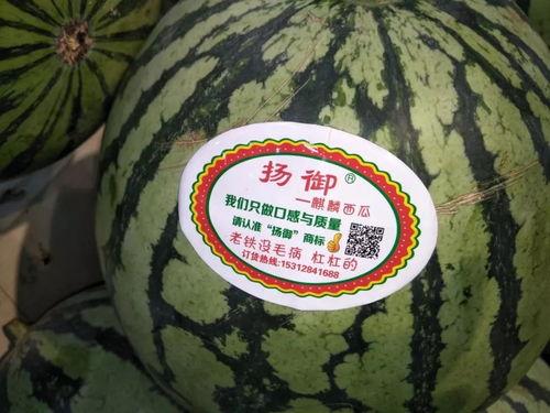 直播间吃瓜主题,揭秘娱乐圈幕后故事