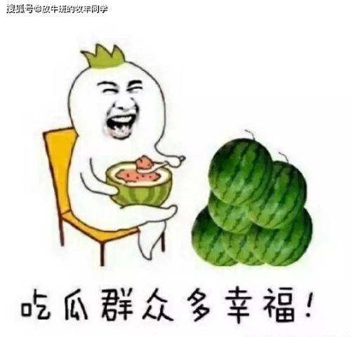 吃瓜吃到自家房子塌了,警惕网络谣言的破坏力