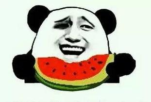 门槛吃瓜孤独,孤独中的自我救赎