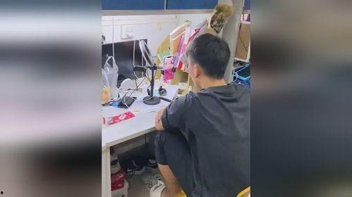 寝室视频吃瓜,揭秘校园生活那些事儿
