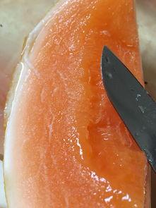 吃毛瓜嘴巴酸,揭秘吃毛瓜嘴巴酸的秘密