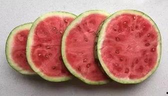 假期吃瓜的视频,视频带你领略热门事件背后的真相