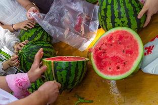 假期吃瓜的视频,视频带你领略热门事件背后的真相