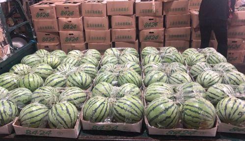 厦门资深吃瓜群众,厦门资深吃瓜群众带你探秘本地美食江湖