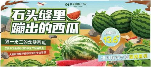 91今日吃瓜热门大瓜,揭秘热门大瓜背后的惊人真相