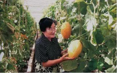 91今日吃瓜热门大瓜,揭秘热门大瓜背后的惊人真相