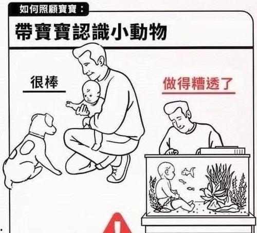 吃瓜小孩文案搞笑,吃瓜小孩的欢乐盛宴