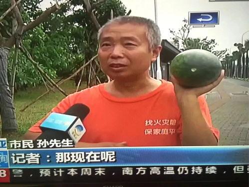 河南热门吃瓜事件,揭秘当地热门吃瓜事件背后的故事