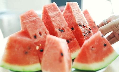 吃瓜长知识捷克